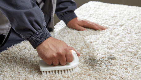 Professional Rug Cleaning Auburn
